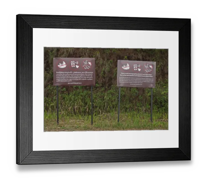 Framed Print : Please avoid photographing birds at nest and refrain from using tape playback and mealworms to attract birds signs Framed Print : Please avoid photographing birds at nest and refrain from using tape playback and mealworms to attract birds signs