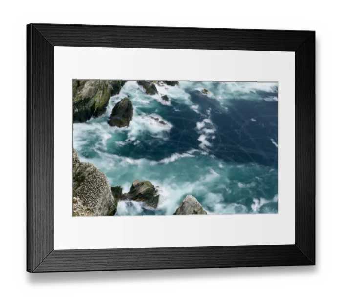 Framed Print : Northern Gannet (Morus bassanus) nesting colony during storm, long exposure with blurred movement Framed Print : Northern Gannet (Morus bassanus) nesting colony during storm, long exposure with blurred movement