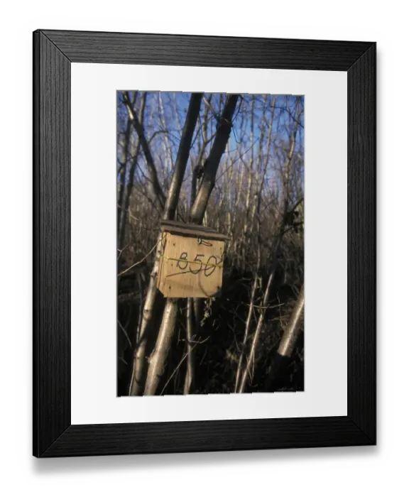 Framed Print : Dormouse Nest boxes at Bradfield Wood - Suffolk Wildlife Trust Framed Print : Dormouse Nest boxes at Bradfield Wood - Suffolk Wildlife Trust