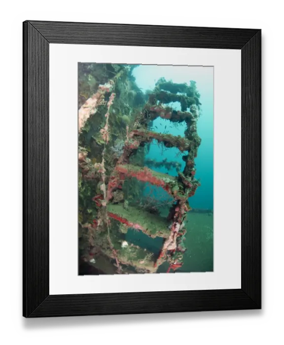 Framed Print : Coral encrusted on ladder on shipwreck, Nabire, Raja Ampat Islands (Four Kings), West Papua, New Guinea, Indonesia