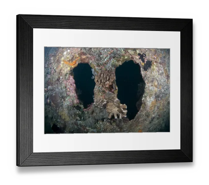 Framed Print : Holes in coral encrusted shipwreck, USAT Liberty (US Army transport ship torpedoed during WWII), Tulamben, Seraya