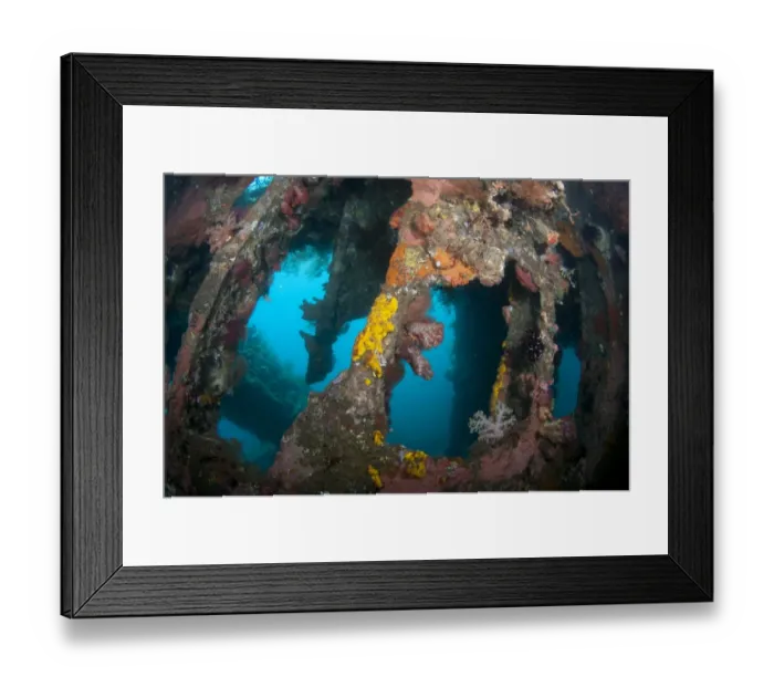 Framed Print : Interior of coral encrusted shipwreck, USAT Liberty (US Army transport ship torpedoed during WWII), Tulamben, Seraya