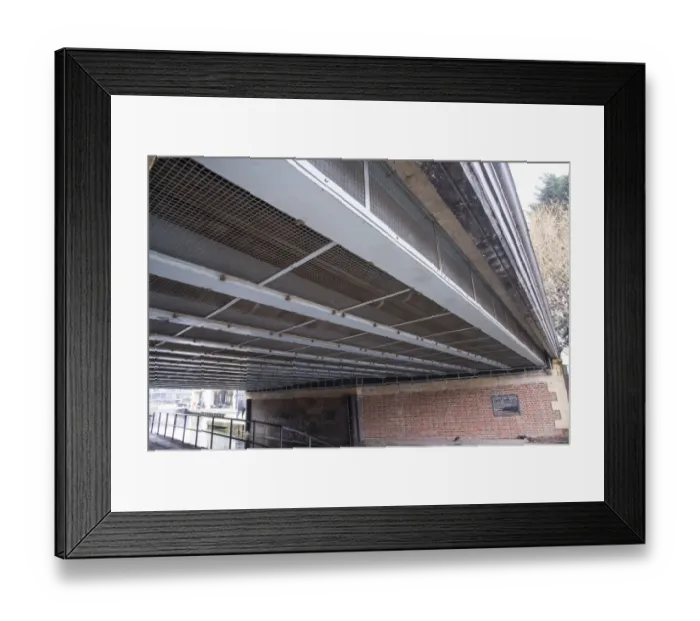 Framed Print : Feral Pigeon (Columba livia) pigeon-proof metal mesh protecting bridge, Maiden Lane Bridge, Regents Canal, Islington Framed Print : Feral Pigeon (Columba livia) pigeon-proof metal mesh protecting bridge, Maiden Lane Bridge, Regents Canal, Islington
