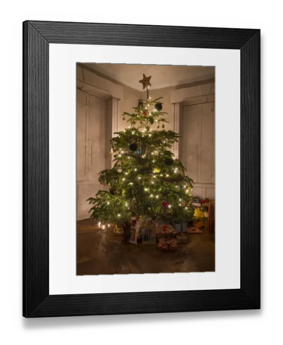 Framed Print : Decorated Christmas Tree, Chipping, Lancashire, England, December Framed Print : Decorated Christmas Tree, Chipping, Lancashire, England, December