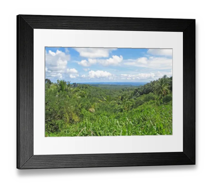 Framed Print : View over tropical rainforest habitat towards coast, Quilesse Forest Reserve, St