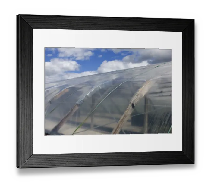 Framed Print : Exterior of horticultural polytunnel, Tierp, Uppsala, Sweden Framed Print : Exterior of horticultural polytunnel, Tierp, Uppsala, Sweden
