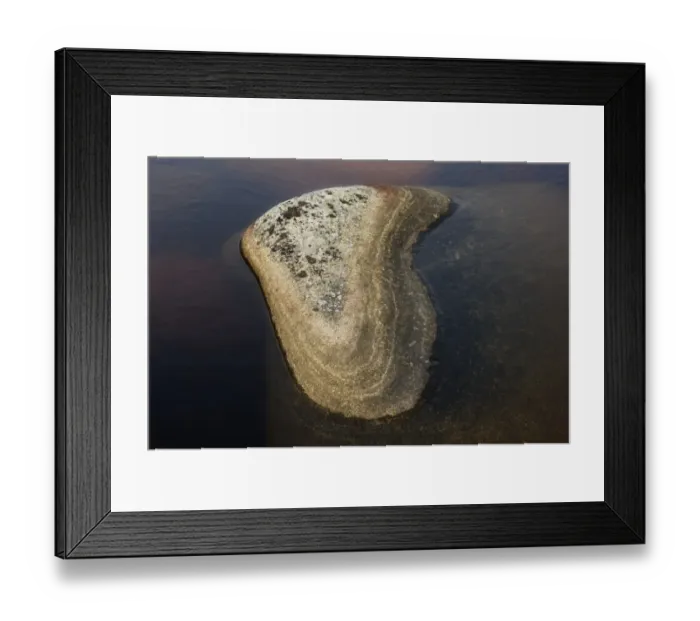 Framed Print : Lichen covered rock in water, Norrfallsvikens Nature Reserve, High Coast, Gulf of Bothnia, Baltic Sea, Sweden Framed Print : Lichen covered rock in water, Norrfallsvikens Nature Reserve, High Coast, Gulf of Bothnia, Baltic Sea, Sweden