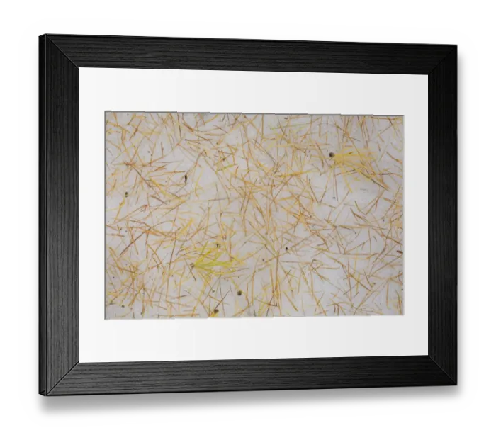 Framed Print : European Larch (Larix decidua) fallen needles and shoots on snow, Dolomites, Italian Alps, Italy, October Framed Print : European Larch (Larix decidua) fallen needles and shoots on snow, Dolomites, Italian Alps, Italy, October