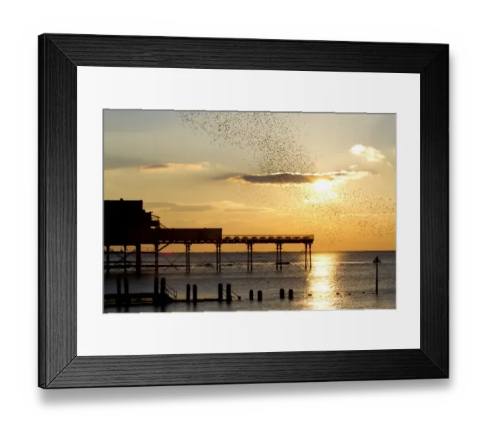 Framed Print : Common Starling Sturnus vulgaris flock, in flight, coming into roost over pier, silhouetted at sunset, Royal Pier Framed Print : Common Starling Sturnus vulgaris flock, in flight, coming into roost over pier, silhouetted at sunset, Royal Pier