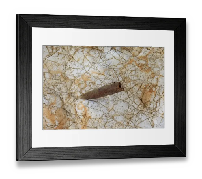 Framed Print : Belemnite rostrum fossil, Sheringham, Norfolk, England, April