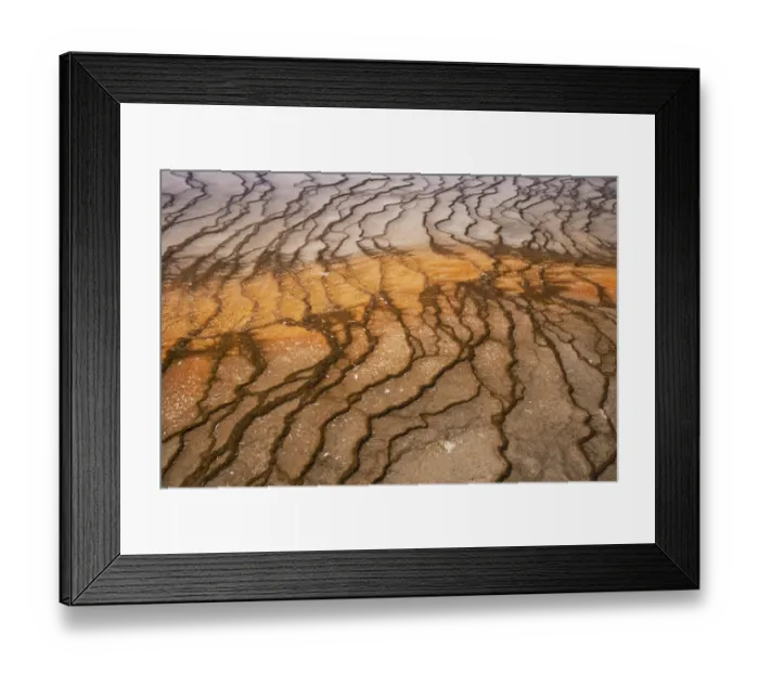Framed Print : Thermophile bacterial mats at hotspring, Grand Prismatic Spring, Midway Geyser Basin, Yellowstone N. P. Wyoming, U. S. A Framed Print : Thermophile bacterial mats at hotspring, Grand Prismatic Spring, Midway Geyser Basin, Yellowstone N. P. Wyoming, U. S. A