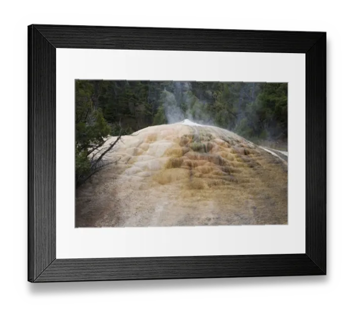Framed Print : Mineral deposits at hotspring, Mound Terrace, Mammoth Hot Springs, Yellowstone N. P. Wyoming, U. S. A. September Framed Print : Mineral deposits at hotspring, Mound Terrace, Mammoth Hot Springs, Yellowstone N. P. Wyoming, U. S. A. September