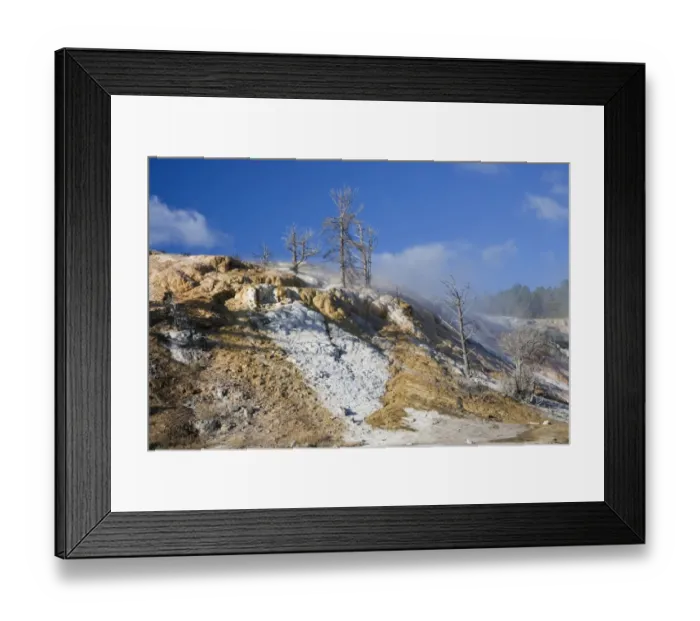 Framed Print : Mineral deposits and dead trees at hotspring, Palette Spring, Mammoth Hot Springs, Yellowstone N. P. Wyoming, U. S. A Framed Print : Mineral deposits and dead trees at hotspring, Palette Spring, Mammoth Hot Springs, Yellowstone N. P. Wyoming, U. S. A