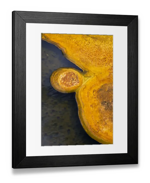 Framed Print : Mineral deposits from hotsprings, Upper Geyser Basin, Yellowstone N. P. Wyoming, U. S. A. September Framed Print : Mineral deposits from hotsprings, Upper Geyser Basin, Yellowstone N. P. Wyoming, U. S. A. September