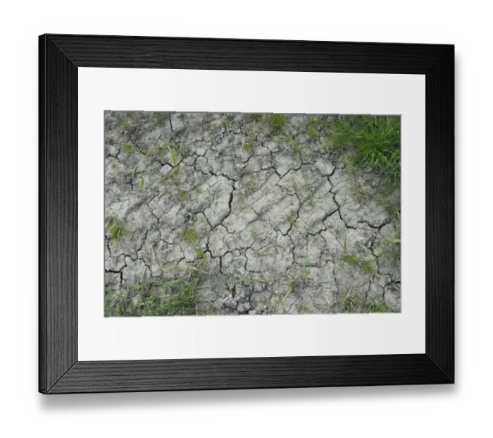Framed Print : Drought, cracked soil at edge of arable field, Sweden, May Framed Print : Drought, cracked soil at edge of arable field, Sweden, May