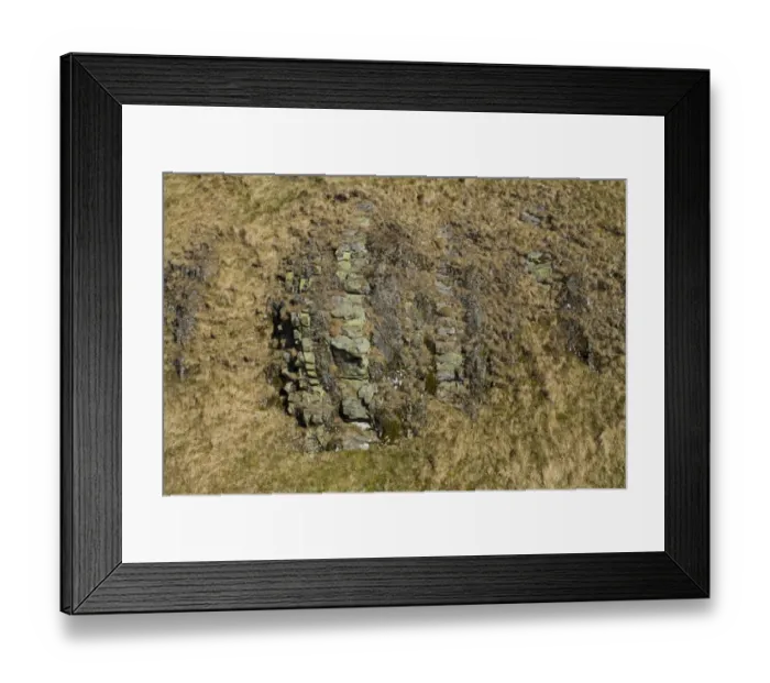 Framed Print : Vertically orientated bedding of sandstone and mudstone (Silurian age Wenlock series) exposed in castle earthwork Framed Print : Vertically orientated bedding of sandstone and mudstone (Silurian age Wenlock series) exposed in castle earthwork