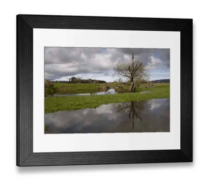 Framed Print : Flooded pasture on farmland at edge of river, Northumberland, England, May