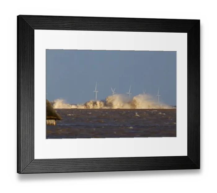 Framed Print : Waves crashing against remains of shingle sea defences, with flooded marshes Framed Print : Waves crashing against remains of shingle sea defences, with flooded marshes