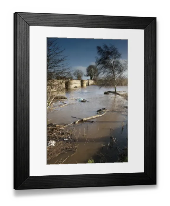 Framed Print : River flooding with high water levels under bridge, River Nidd, Nidderdale, Yorkshire Dales, North Yorkshire, England Framed Print : River flooding with high water levels under bridge, River Nidd, Nidderdale, Yorkshire Dales, North Yorkshire, England
