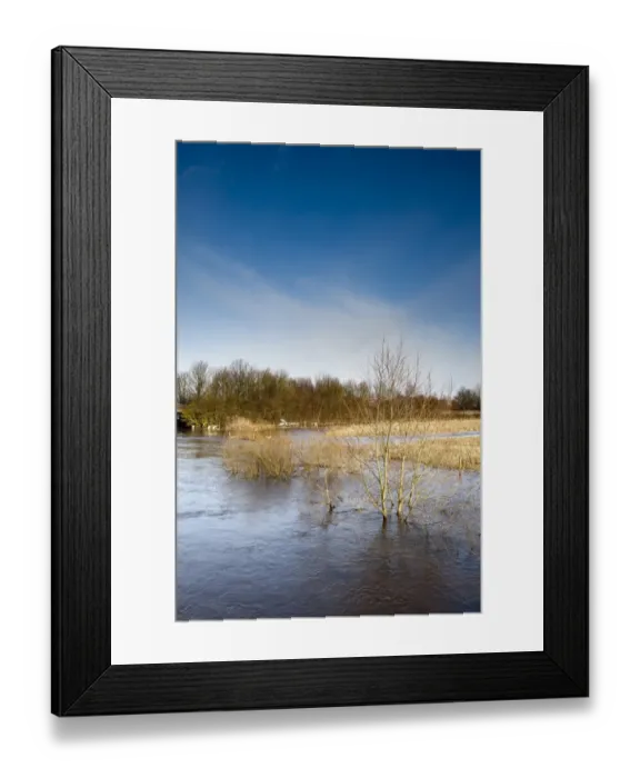 Framed Print : River flooding, River Nidd, Nidderdale, Yorkshire Dales, North Yorkshire, England, January Framed Print : River flooding, River Nidd, Nidderdale, Yorkshire Dales, North Yorkshire, England, January