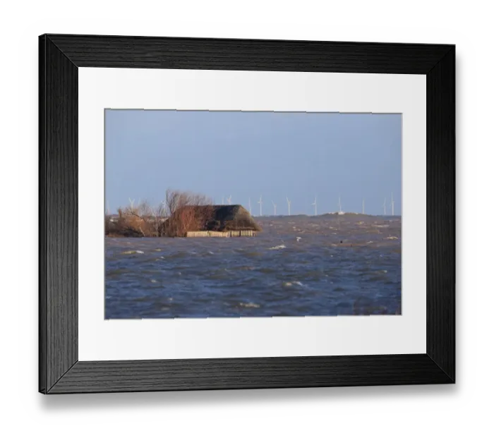 Framed Print : Flooded coastal marshland habitat and partially submerged birdwatching hide after tidal surge, Cley Marshes Reserve Framed Print : Flooded coastal marshland habitat and partially submerged birdwatching hide after tidal surge, Cley Marshes Reserve