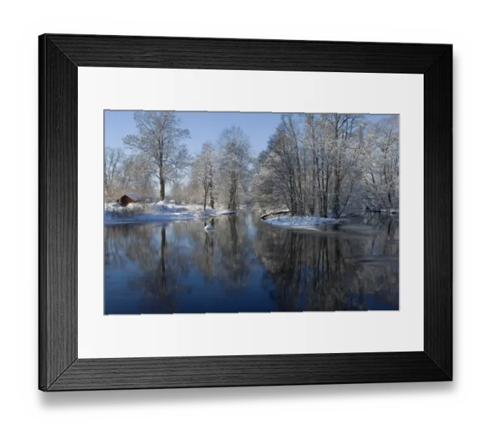 Framed Print : Frozen river, snow covered bare trees, Sweden, winter Framed Print : Frozen river, snow covered bare trees, Sweden, winter