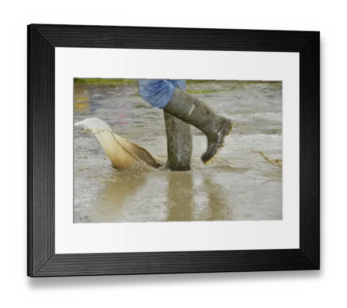 Framed Print : Person walking with wellington boots through puddle at agricultural show, Yorkshire, England, July Framed Print : Person walking with wellington boots through puddle at agricultural show, Yorkshire, England, July