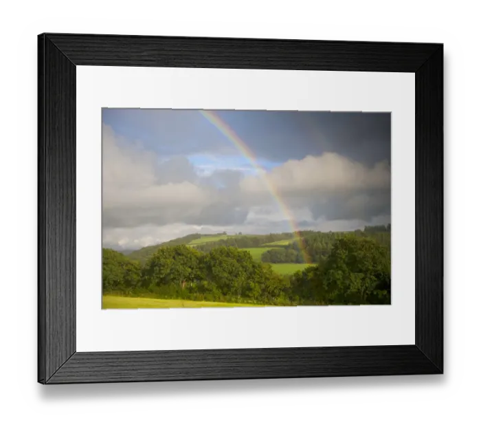 Framed Print : Rainbow over hedgerow, trees and farmland, North Cornwall, England, August Framed Print : Rainbow over hedgerow, trees and farmland, North Cornwall, England, August