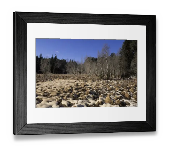 Framed Print : Acid rain, lime spread over wetland, to reduce acidity, Sweden Framed Print : Acid rain, lime spread over wetland, to reduce acidity, Sweden