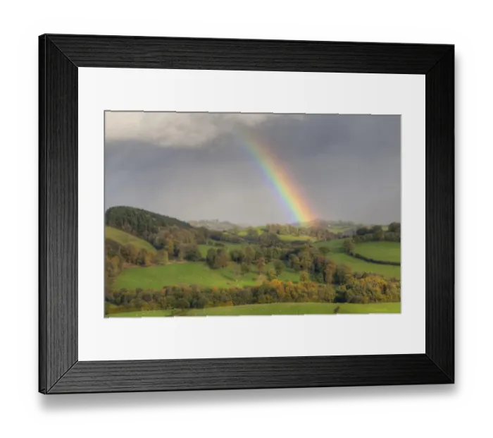 Framed Print : Rainbow and stormclouds over farmland with sheep in pasture, near Tregynon, Powys, Wales, November Framed Print : Rainbow and stormclouds over farmland with sheep in pasture, near Tregynon, Powys, Wales, November