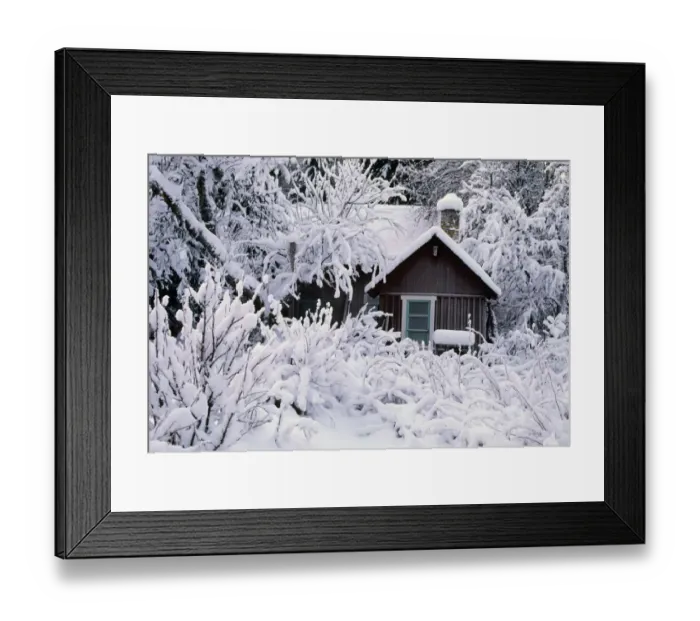 Framed Print : Deep snow in winter garden, wooden house beyond, Sweden Framed Print : Deep snow in winter garden, wooden house beyond, Sweden