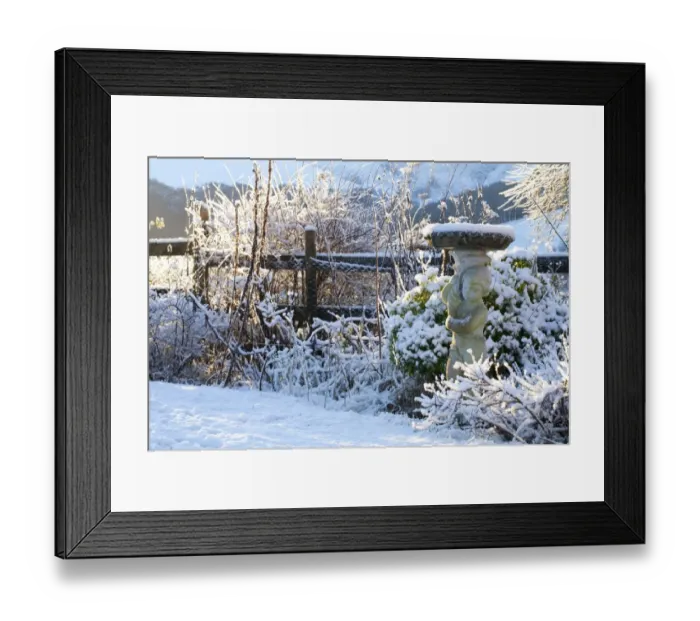 Framed Print : Birdbath sculpture in snow covered garden, Powys, Wales, January Framed Print : Birdbath sculpture in snow covered garden, Powys, Wales, January