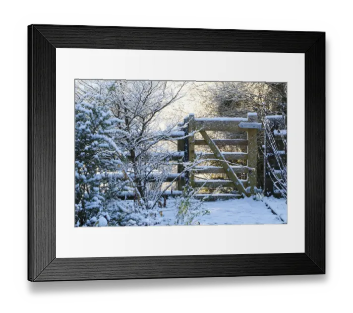 Framed Print : Gate in snow covered garden, Powys, Wales, January Framed Print : Gate in snow covered garden, Powys, Wales, January