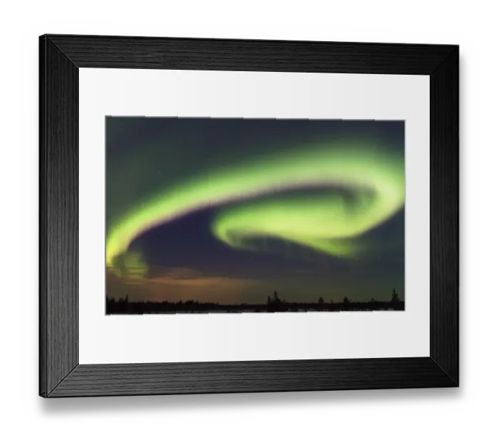 Framed Print : Aurora Borealis, over taiga forest at night, Finland, January Framed Print : Aurora Borealis, over taiga forest at night, Finland, January