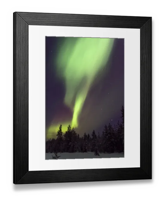 Framed Print : Aurora Borealis, over taiga forest at night, Finland, January Framed Print : Aurora Borealis, over taiga forest at night, Finland, January
