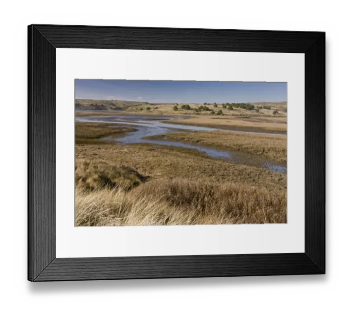 Framed Print : View of coastal saltmarsh habitat, Drakes Estero (Drakes Estuary), Point Reyes National Seashore Framed Print : View of coastal saltmarsh habitat, Drakes Estero (Drakes Estuary), Point Reyes National Seashore