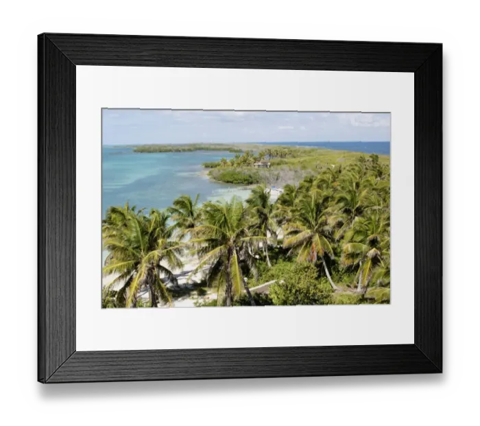 Framed Print : View of coastline, beach and palm trees, Isla Contoy N. P. Quintana Roo, Mexico, January Framed Print : View of coastline, beach and palm trees, Isla Contoy N. P. Quintana Roo, Mexico, January