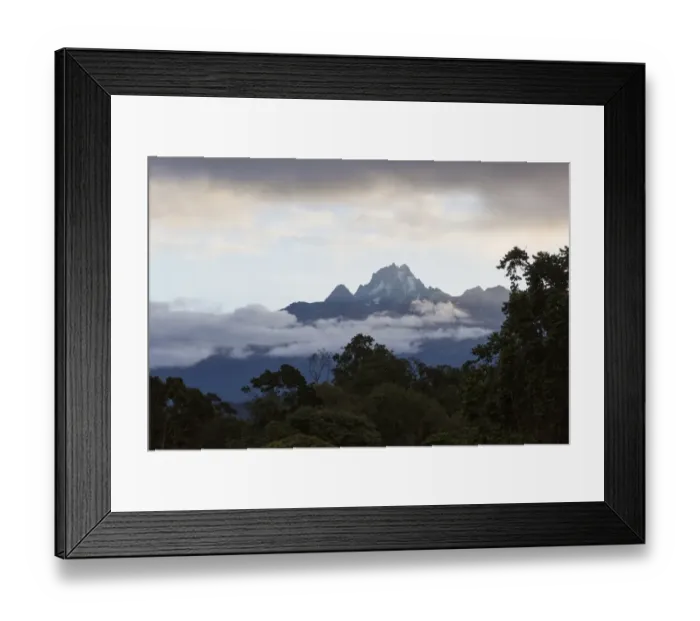 Framed Print : View of mountain peak and montane rainforest habitat, Mount Kenya, Mount Kenya N. P. Kenya, August Framed Print : View of mountain peak and montane rainforest habitat, Mount Kenya, Mount Kenya N. P. Kenya, August