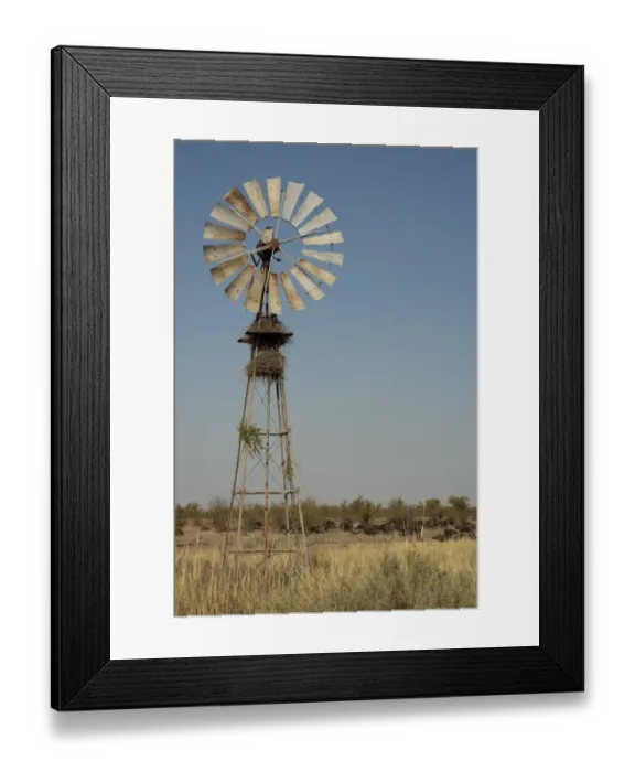 Framed Print : Windpump and African Buffalo (Syncerus caffer) herd, Kruger N. P. Transvaal, South Africa, June Framed Print : Windpump and African Buffalo (Syncerus caffer) herd, Kruger N. P. Transvaal, South Africa, June