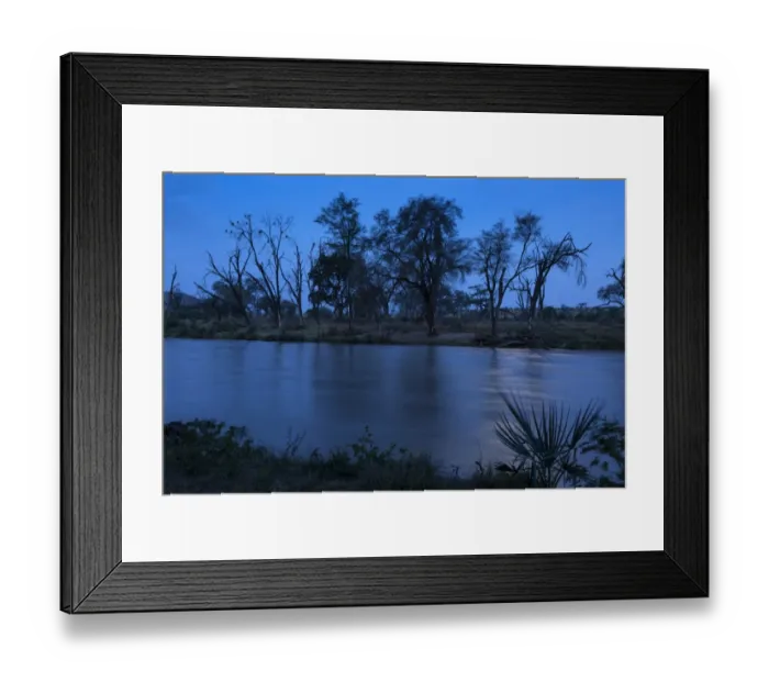 Framed Print : View of trees beside river at night, Samburu National Reserve, Kenya, August Framed Print : View of trees beside river at night, Samburu National Reserve, Kenya, August