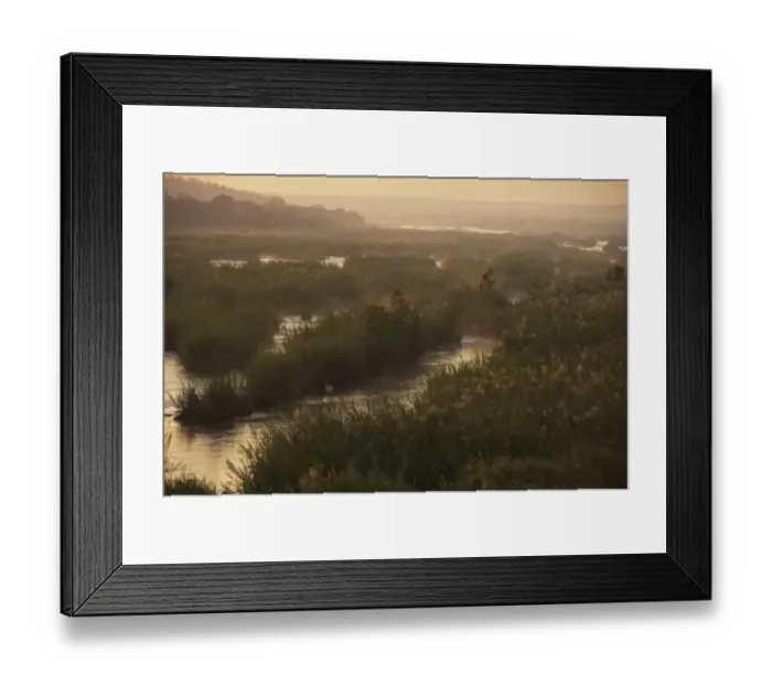 Framed Print : View of long grasses in river habitat at dawn, Kruger N. P. Transvaal, South Africa, June Framed Print : View of long grasses in river habitat at dawn, Kruger N. P. Transvaal, South Africa, June