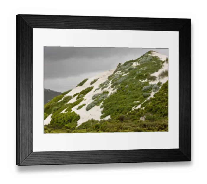 Framed Print : Partly-vegetated high dunes habitat on west coast, West Coast N. P. Western Cape Province, South Africa, August Framed Print : Partly-vegetated high dunes habitat on west coast, West Coast N. P. Western Cape Province, South Africa, August