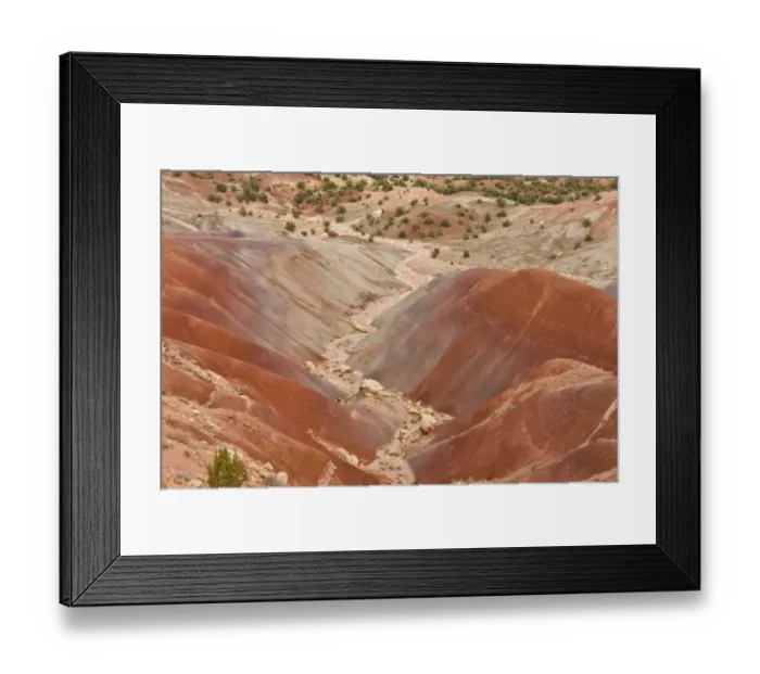 Framed Print : View of colourful badlands habitat, Burr Road, Grand Staircase-Escalante National Monument, Utah, U. S. A. October Framed Print : View of colourful badlands habitat, Burr Road, Grand Staircase-Escalante National Monument, Utah, U. S. A. October
