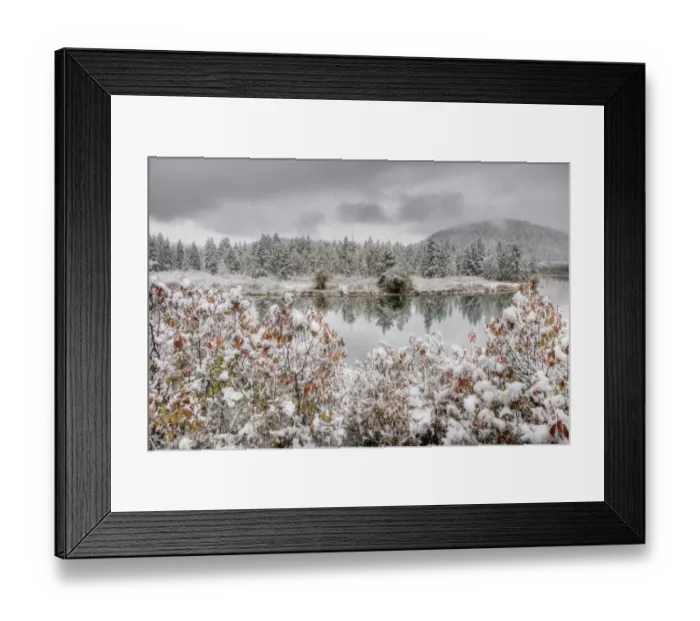 Framed Print : View of mountain range and forested river valley with trees in autumn colour and snow, Oxbow Bend, Grand Teton N. P Framed Print : View of mountain range and forested river valley with trees in autumn colour and snow, Oxbow Bend, Grand Teton N. P