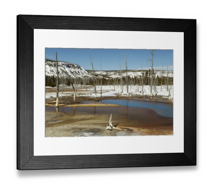 Framed Print : View of geothermal area with dead trees and snow, Iron Spring Creek, Upper Geyser Basin, Yellowstone N. P Framed Print : View of geothermal area with dead trees and snow, Iron Spring Creek, Upper Geyser Basin, Yellowstone N. P