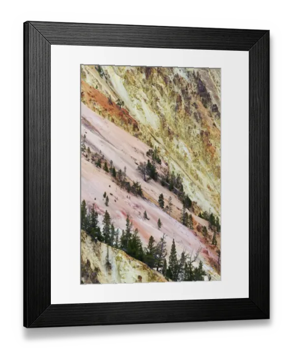 Framed Print : View of canyon slope with oxidizing rocks, Grand Canyon of Yellowstone, Yellowstone N. P. Wyoming, U. S. A. September Framed Print : View of canyon slope with oxidizing rocks, Grand Canyon of Yellowstone, Yellowstone N. P. Wyoming, U. S. A. September