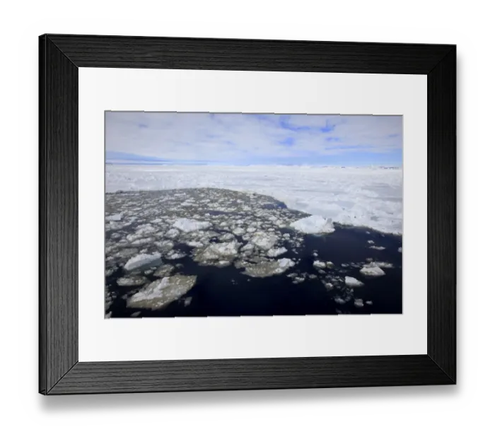 Framed Print : Melting edge of pack ice, Weddell Sea, Antarctica, December Framed Print : Melting edge of pack ice, Weddell Sea, Antarctica, December