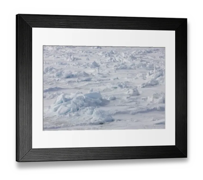 Framed Print : Pack ice hummocks, Weddell Sea, Antarctica, December Framed Print : Pack ice hummocks, Weddell Sea, Antarctica, December