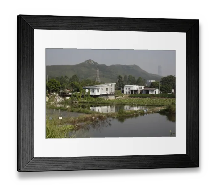 Framed Print : View of freshwater fishponds habitat, Long Valley, New Territories, Hong Kong, China, October Framed Print : View of freshwater fishponds habitat, Long Valley, New Territories, Hong Kong, China, October