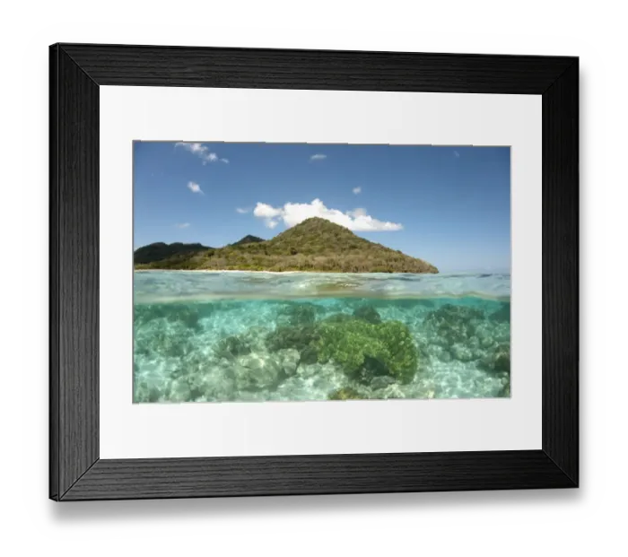 Framed Print : View of island and coral from above and below surface of water, Nyata Island, Barat Daya Islands, Lesser Sunda Islands Framed Print : View of island and coral from above and below surface of water, Nyata Island, Barat Daya Islands, Lesser Sunda Islands